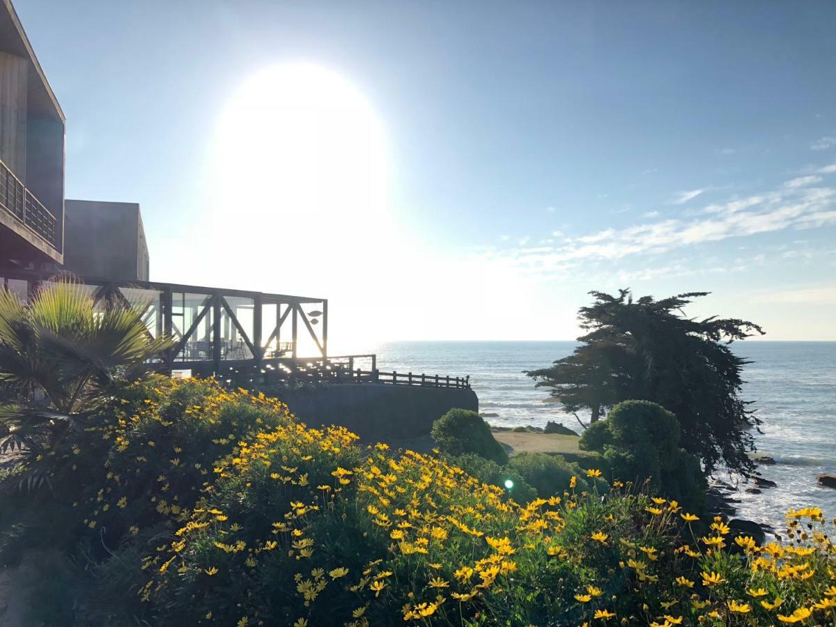 Hotel Puerto Viejo 伊科 外观 照片